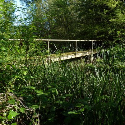 Six Memories of Billy&nbsp;Thatcher